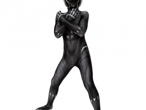 Black Panther Costume Versions Guide