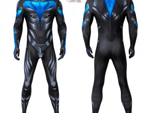 Nightwing Costume Versions Guide
