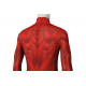 2022 Flashpoint Barry Allen Flash Jumpsuit