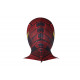 Justice League Barry Allen The Flash Cosplay Jumpsuit Justice League Barry Allen The Flash Cosplay Jumpsuit