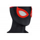 Marvel's Spider-Man 2 Evolve Suit Cosplay Jumpsuit