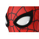 What If Zombie Hunter Spider-Man Cosplay Jumpsuit
